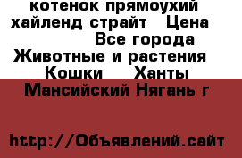 котенок прямоухий  хайленд страйт › Цена ­ 10 000 - Все города Животные и растения » Кошки   . Ханты-Мансийский,Нягань г.